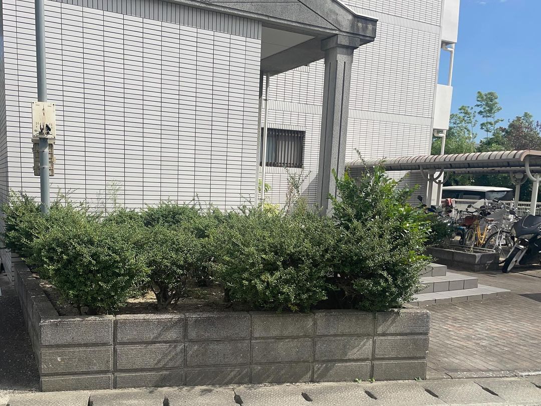 横画像02